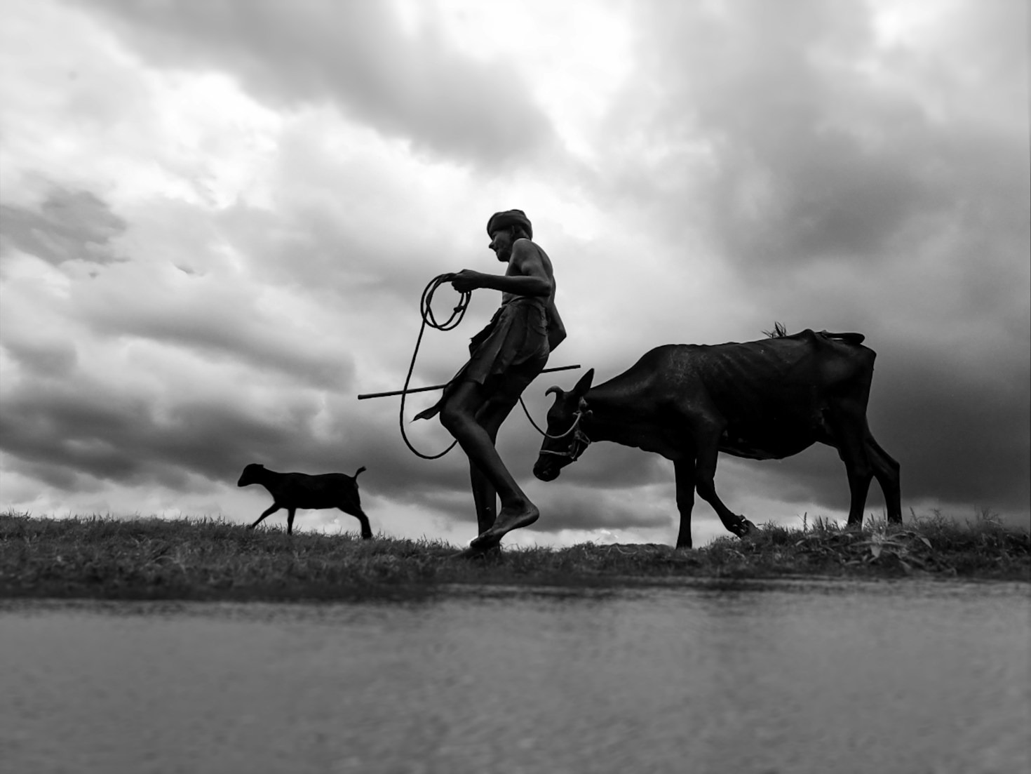 Conectando-se com a simplicidade da vida rural em Piumhi